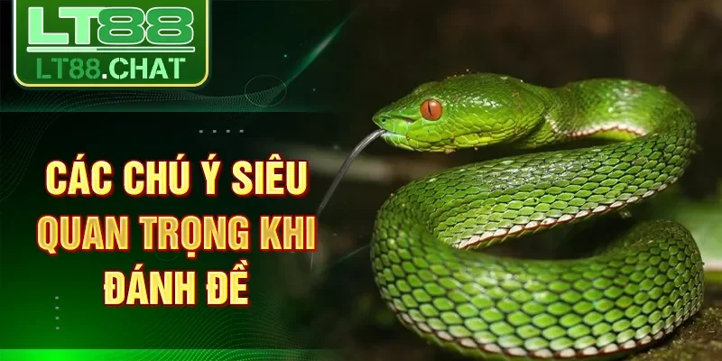 Các chú ý siêu quan trọng khi đánh đề