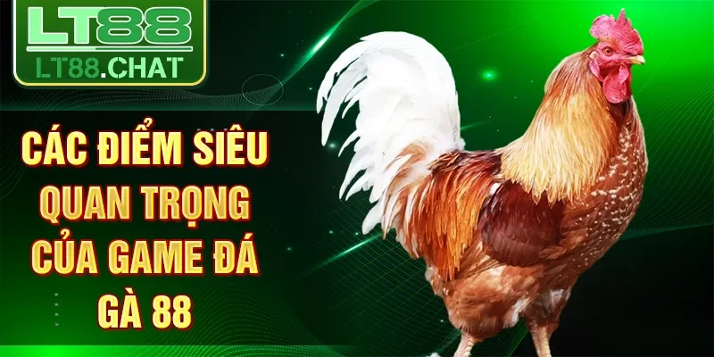Các điểm siêu quan trọng của game đá gà 88