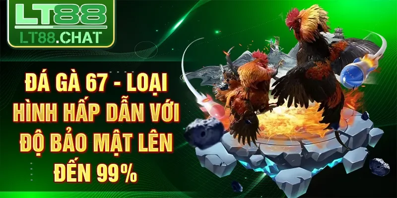 Đá Gà 67