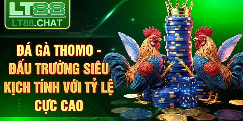 Đá Gà Thomo