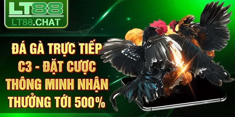 Đá Gà Trực Tiếp C3