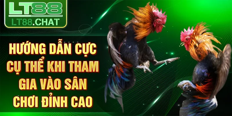 Hướng dẫn cực cụ thể khi tham gia vào sân chơi đỉnh cao