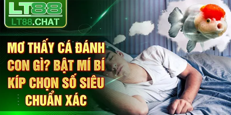 Mơ Thấy Cá Đánh Con Gì