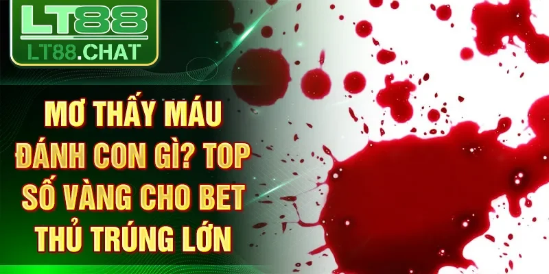 Mơ Thấy Máu Đánh Con Gì