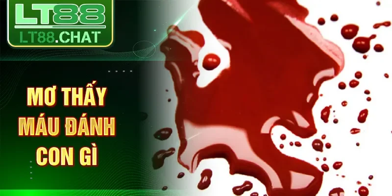 Mơ thấy máu đánh con gì