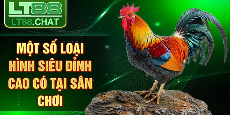 Một số loại hình siêu đỉnh cao có tại sân chơi
