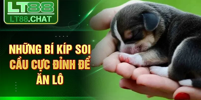 Những bí kíp soi cầu cực đỉnh để ăn lô
