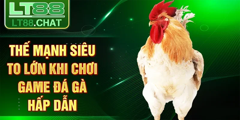 Thế mạnh siêu to lớn khi chơi game đá gà hấp dẫn