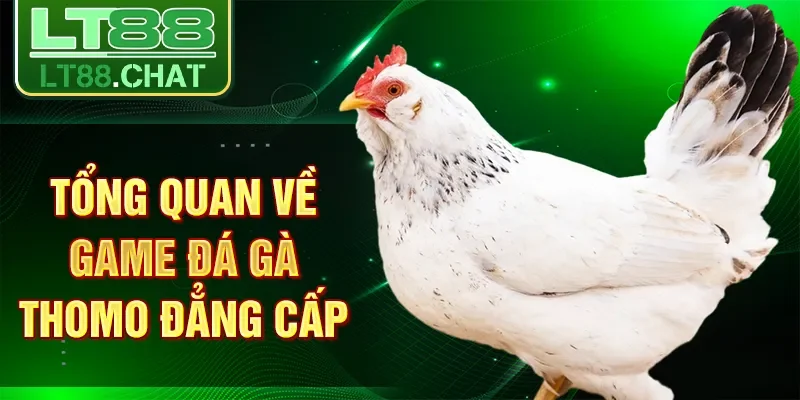 Tổng quan về game đá gà thomo đẳng cấp